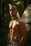 Brought to life through AI,Capturing the Pristine and Elusive Male Fairy.