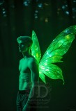 Brought to life through AI,Capturing the Pristine and Elusive Male Fairy.