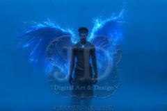 Angels from Above - Desktop