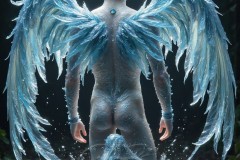 Angels of the Elements
