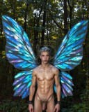 Magic & Fantasy Collection