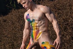 Colorful Swirls