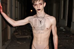 Twinkocalypse, When Twinks Attack - NSFW