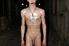 Twinkocalypse, When Twinks Attack - NSFW