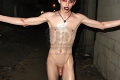 Twinkocalypse, When Twinks Attack - NSFW
